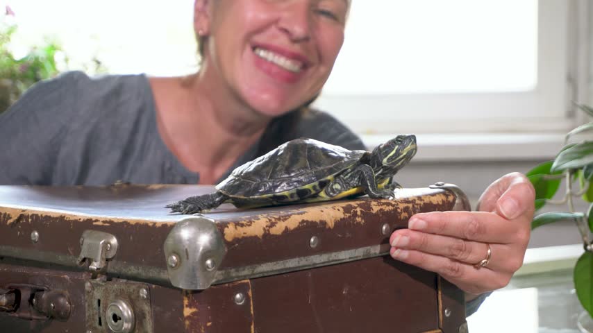 A woman has fun with a turtle on top of a vintage suitcase in her living room. She smiles brightly as she gently reaches out to the turtle.