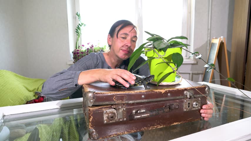 A woman gently touches a turtle while it sits on an old suitcase. Plants surround them in a light-filled room. The atmosphere is lively as she smiles.