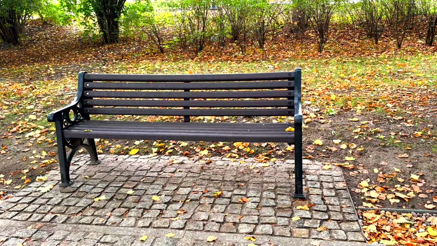 A park bench in early autumn.