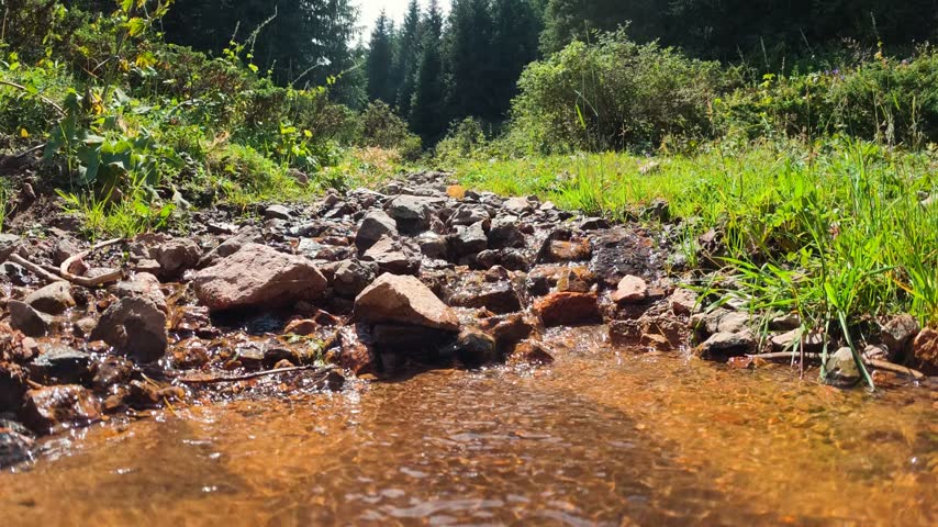 Mountain stream among green hills