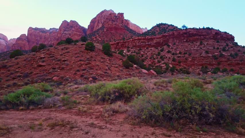 Golden sunset light highlights the red cliffs over desert cactus landscape of Zion National Park