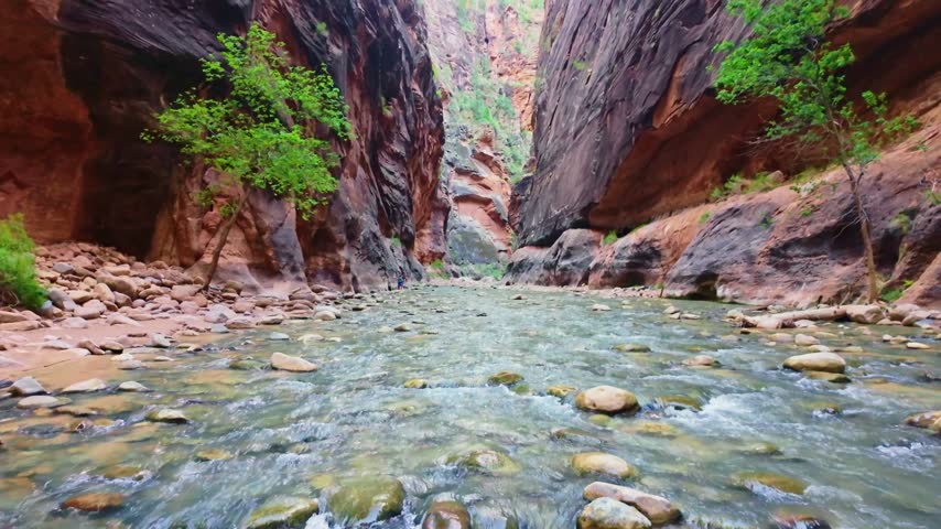 Golden sunrise light glows through the iconic Narrows trail along the Virgin River in Zion National Park