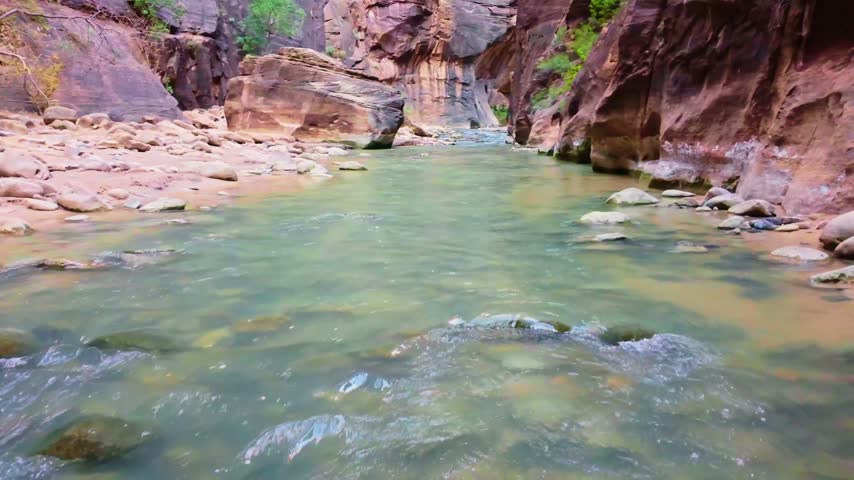 Virgin River flows scenically through the iconic Narrows trail canyon in Zion National Park