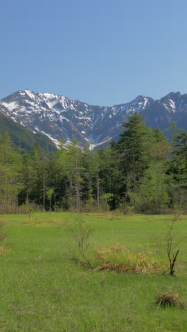 Marsh Meadow Below Snow Capped Mountain Vertical Video