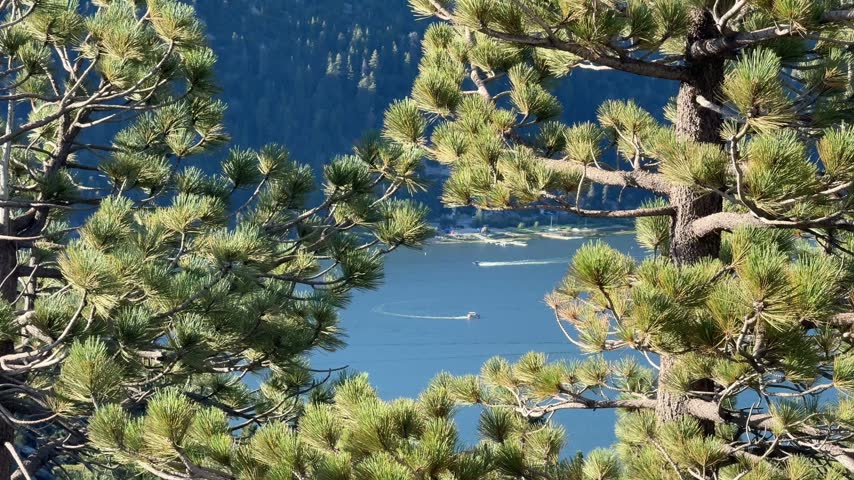Mountain Lake Seen Through Pine Tree Branches Big Bear Lake