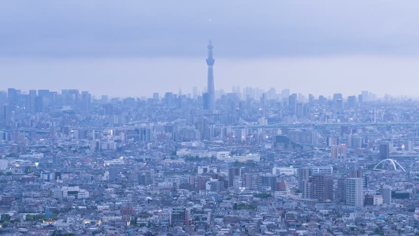 Panoramic night view of Tokyo, Japan, featuring an expansive urban skyline illuminated by countless city lights, with Tokyo Skytree rising prominently above the surrounding cityscape.