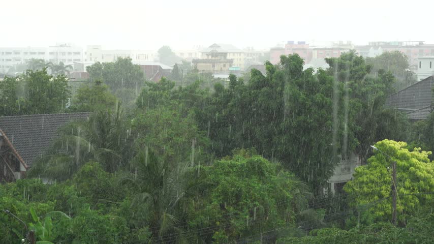 A city view featuring heavy rain and strong winds; in the distant background, buildings and large trees are visible through the blur of the downpour and gusting wind.