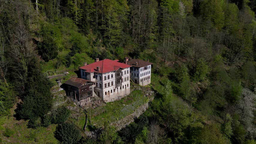 Historical mansions. Historic mansions among green forests, trees and meadows. Footage of old mansions made of wood and stone.