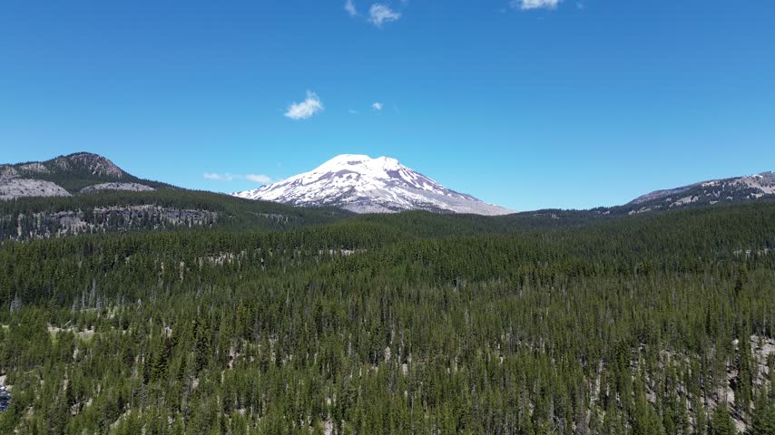 The forest around South Sister - Oregon