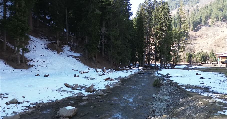 Winter landscape with a flowing river through a snowy pine forest with natural daylight