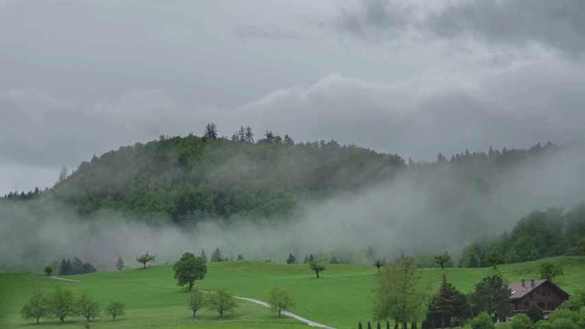 Misty green hills with a forest backdrop, scattered trees, and a small house in the foreground. Fog envelops the landscape, creating a moody atmosphere in nature.