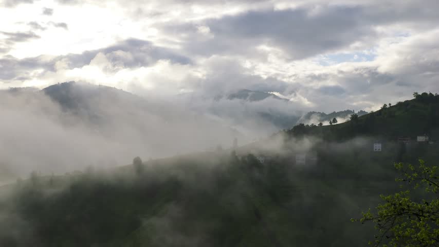 The green tea gardens and the dancing clouds over the green tea gardens, which are the most important source of livelihood of the province of Rize, located in the Black Sea of Turkey.