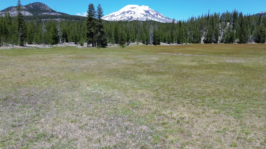 The meadow and South Sister - Oregon