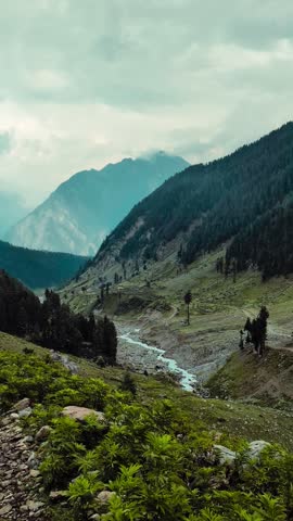 Scenic mountain valley with a winding river and pine forest under a cloudy sky
