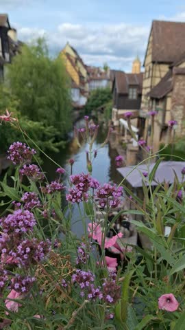 Romantic canal with colorful houses in Colmar.