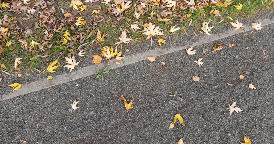 a walking path made of stone and rubble with foliage of trees in the autumn season, beautiful yellow foliage fallen on a walking path in the park