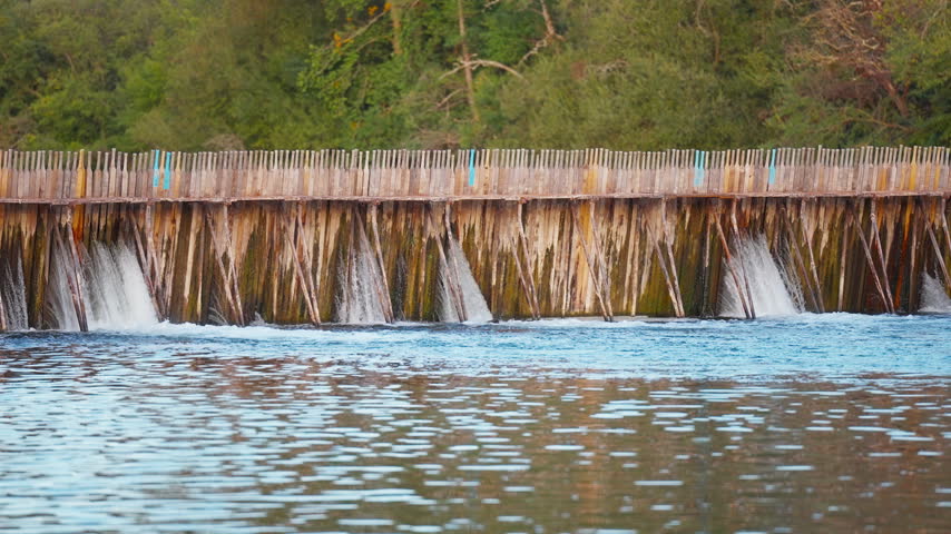 Water flows through wooden needle dam structure on a river, surrounded by trees