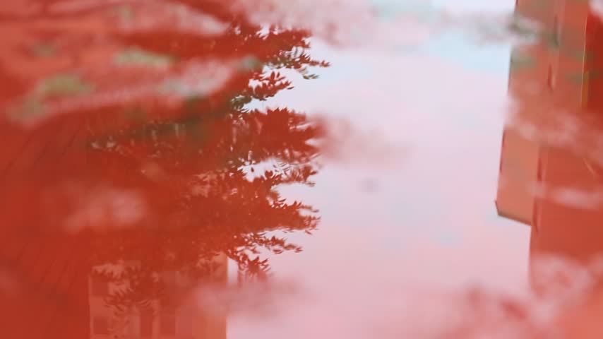 An abstract reflection of a red building facade and tree silhouette shimmering in a puddle of water on an overcast day.