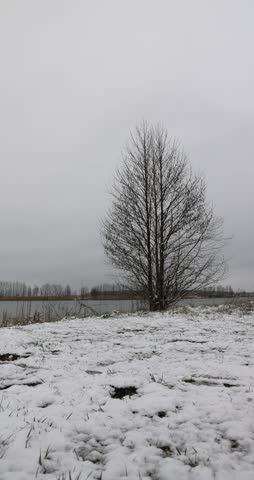 a wide river in early spring after snowfalls and frosts, the ice on the river has melted, grass grows on the shore and the shore is covered with snow, early spring