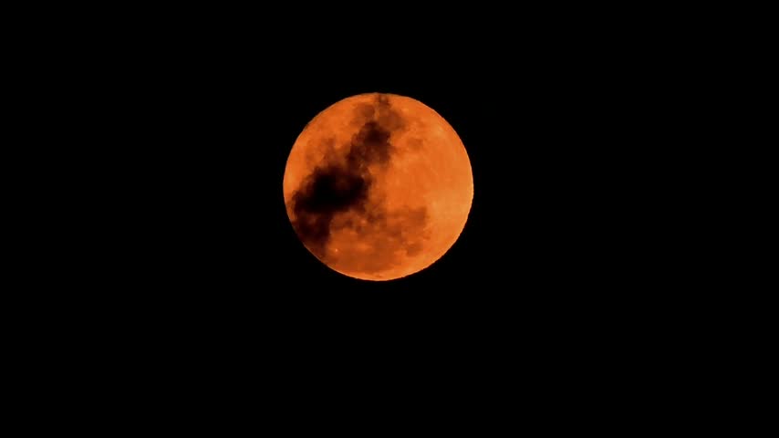 closeup view of full moon 