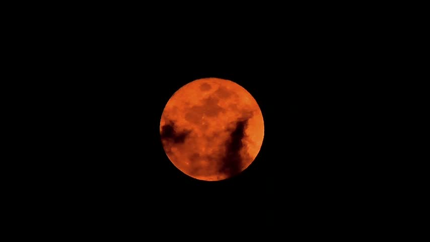 closeup view of full moon 