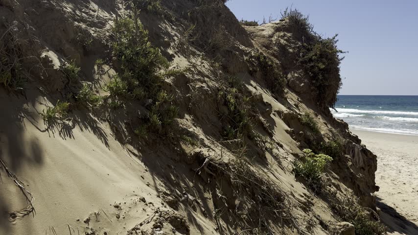 Netanya, Israel. View of sandy dunes and rocky formations along the Mediterranean coast near the beach, with natural coastal vegetation growing among the dunes.