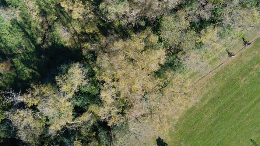 Mountain bikers ride singletrack along the edge of a mown meadow at Gamehaven, Rochester, Minnesota, autumn woodland on one side and a dirt jump beyond. Aerial top down