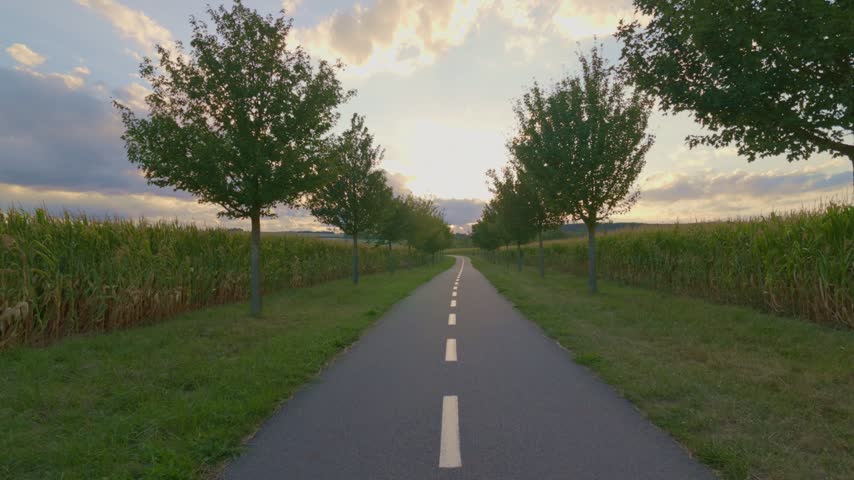 Straight road lined with trees and cornfields at sunset, moving forward.
Aerial travel through rural countryside beneath a warm evening sky.