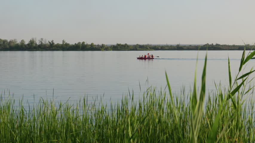 A group of people paddles a red kayak across a calm lake framed by green reeds. Concept of outdoor recreation, scenic nature escape, river exploration, and summer leisure travel.