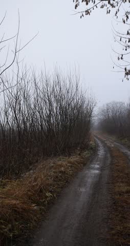 a rural country road in cloudy autumn weather, a road for cars along shrubs and trees without foliage against a gray cloudy sky, a depressing landscape