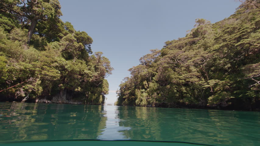 Scenic Split shot showing Forest and Ocean