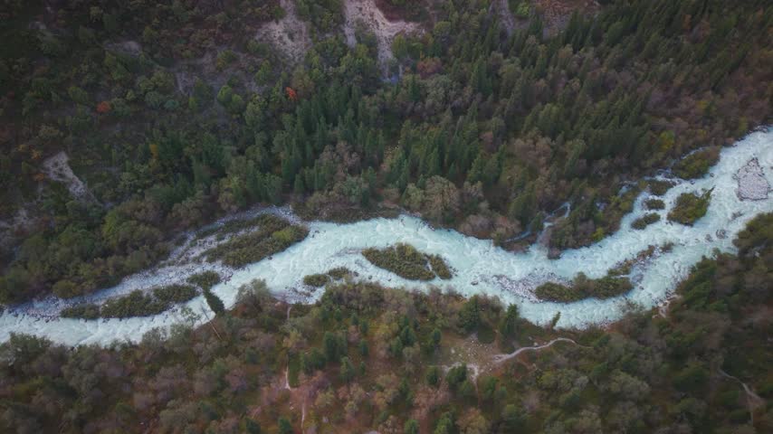 Aerial top-down view of glacial mountain river winding through pine forest in Ala Archa National Park near Peak Uchitel, Kyrgyzstan