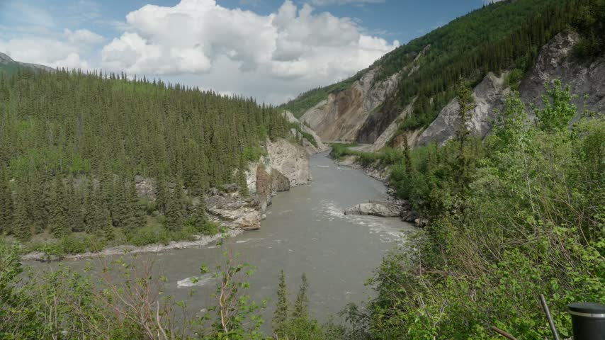 Creek in Alaska with mountains in the background