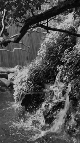 Close up of small cascading waterfall and clear water stream surrounded by green plants.