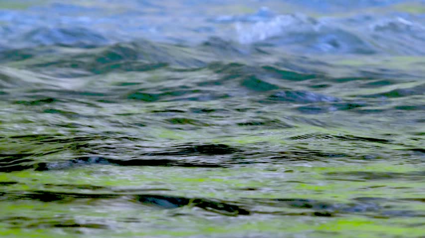 Close-up of a flowing river surface with dynamic ripples and vibrant green-blue reflections.