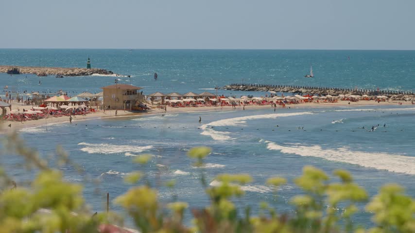 Beautiful panoramic view of Gordon Beach in Tel Aviv, Israel, with people enjoying a sunny summer day, swimming and surfing in the mediterranean sea, with green plants in the foreground