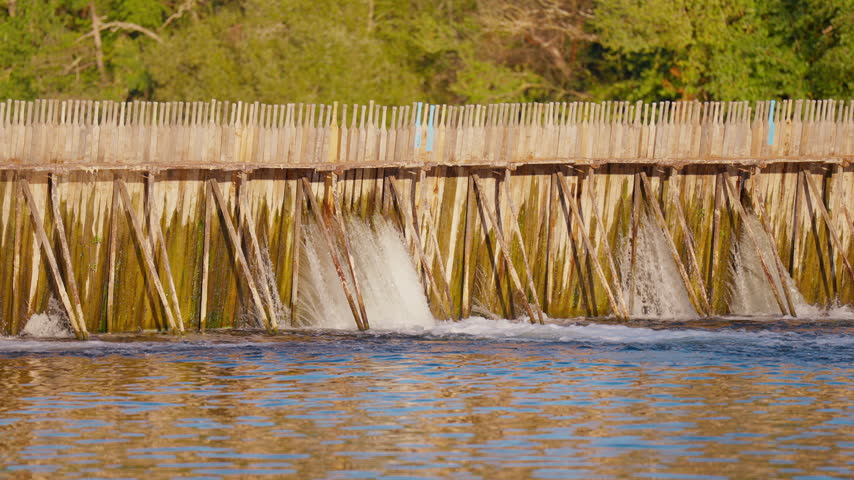 Water flows through a wooden needle dam structure on a river, surrounded by trees