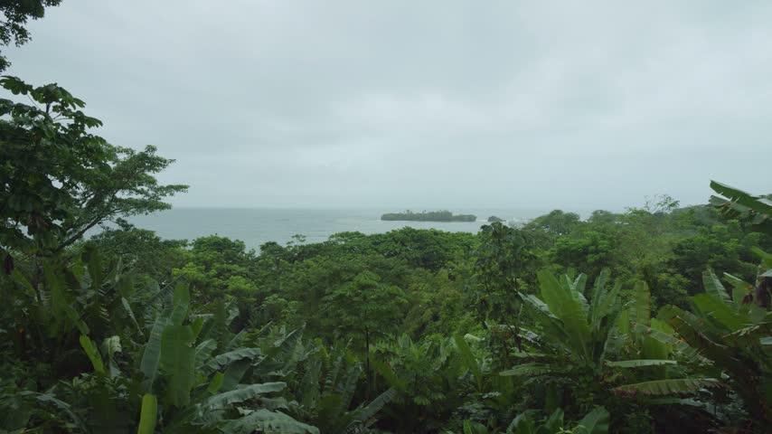 Overcast sky blankets dense tropical vegetation. Banana plants and palm trees frame the ocean horizon. Distant island glows faintly in the fog. Misty air softens the coastal shoreline