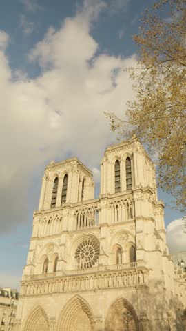 Vertical View of Notre Dame Cathedral in Paris, France