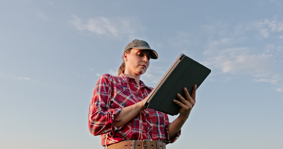 Young agronomist examining a soybean crop in a field. Smart farming concept with a woman using modern technology for agriculture