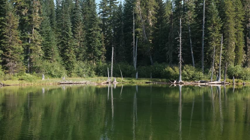 washington nature lake camping forest sky