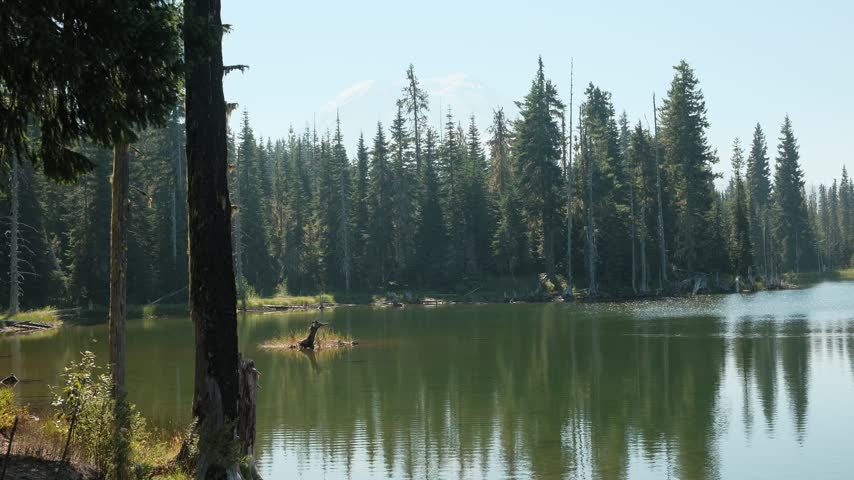 washington nature lake camping forest sky