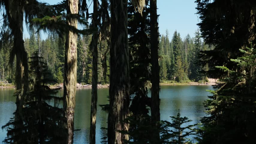 washington nature lake camping forest sky