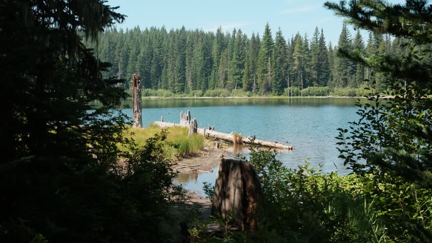 washington nature lake camping forest sky