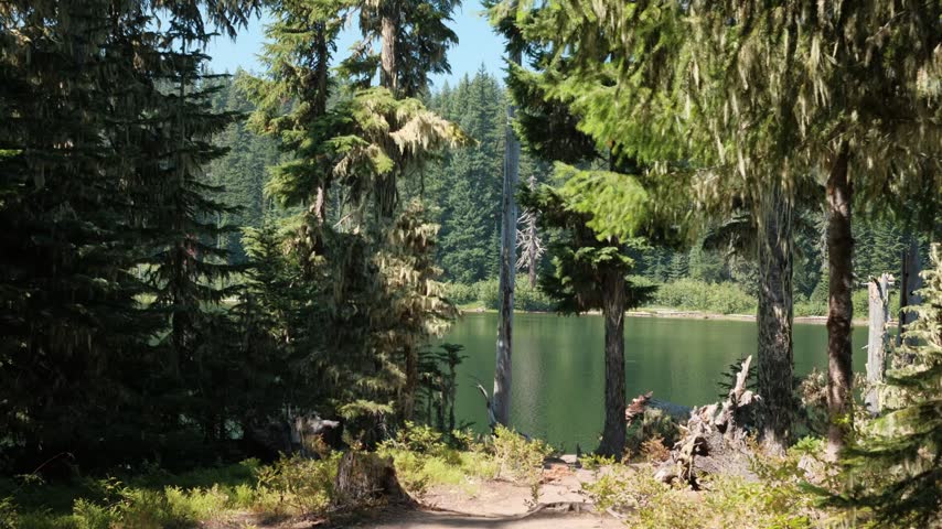 washington nature lake camping forest sky