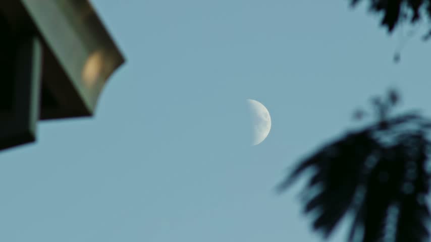 Half Moon Visible in Daytime Framed by Leaves and a House 