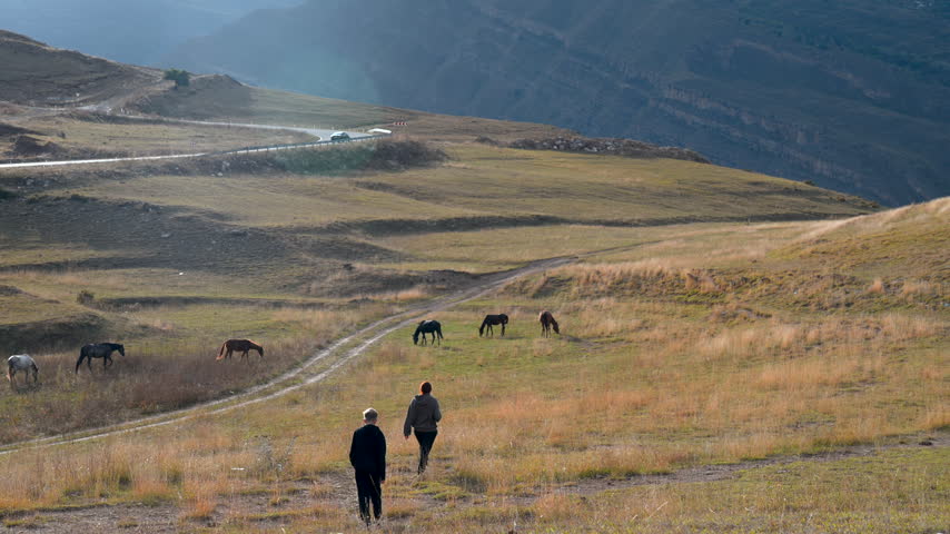 Two distant walkers cross dry hillside beside grazing horses, with winding mountain road and layered blue valley behind, under soft hazy daylight across broad open rural landscape