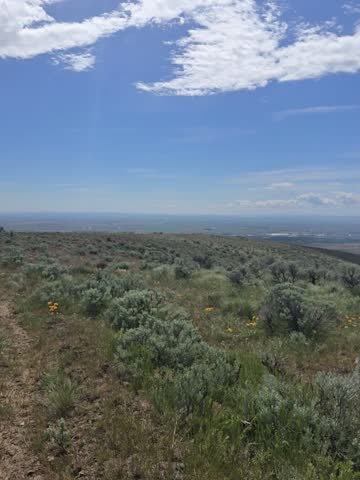 Over looking the Columbia basin 