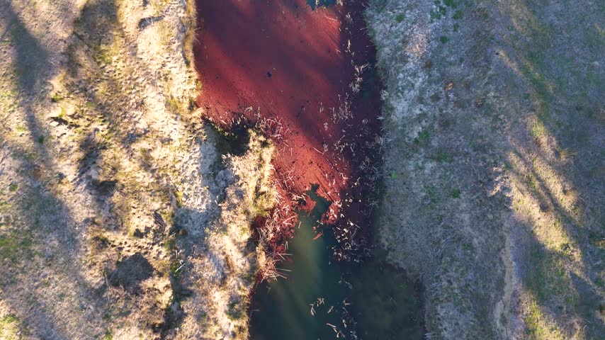 Aerial top-down tracking shot over a rural creek covered in vibrant red azolla algae.