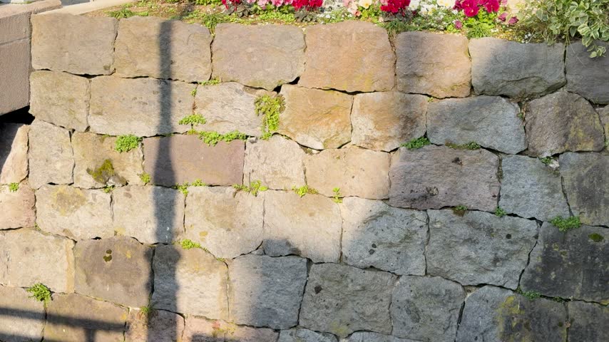 Static shot of sunlight and shadows moving across a textured mossy stone wall in Kanazawa.